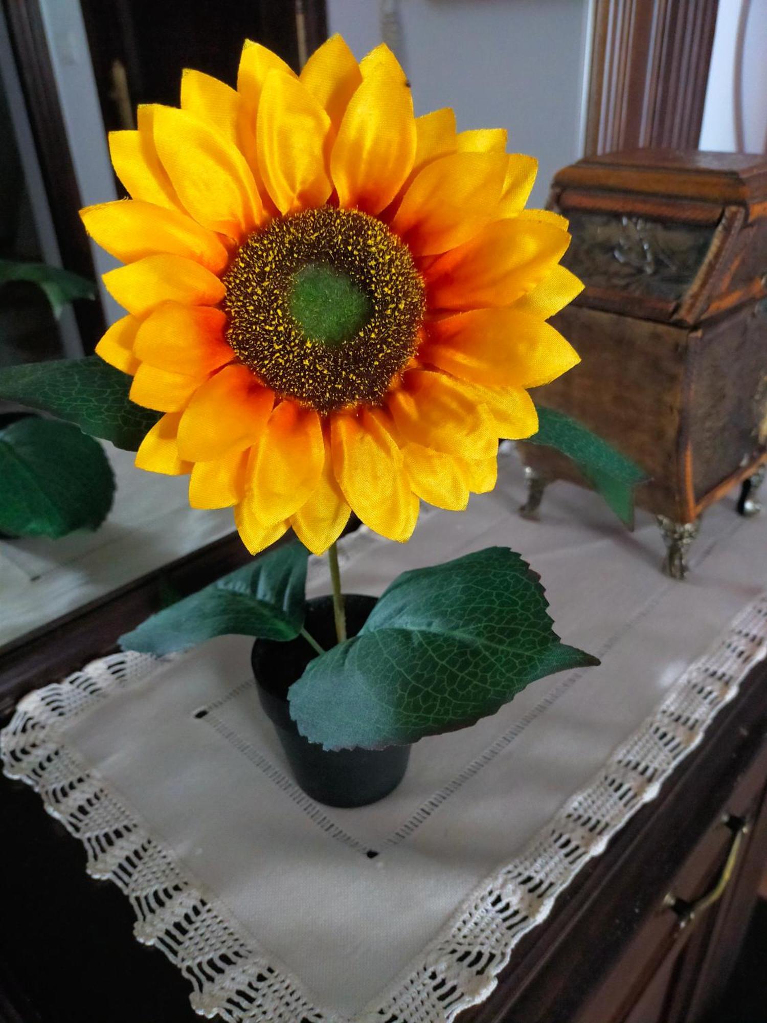 Los Girasoles Olvera Extérieur photo